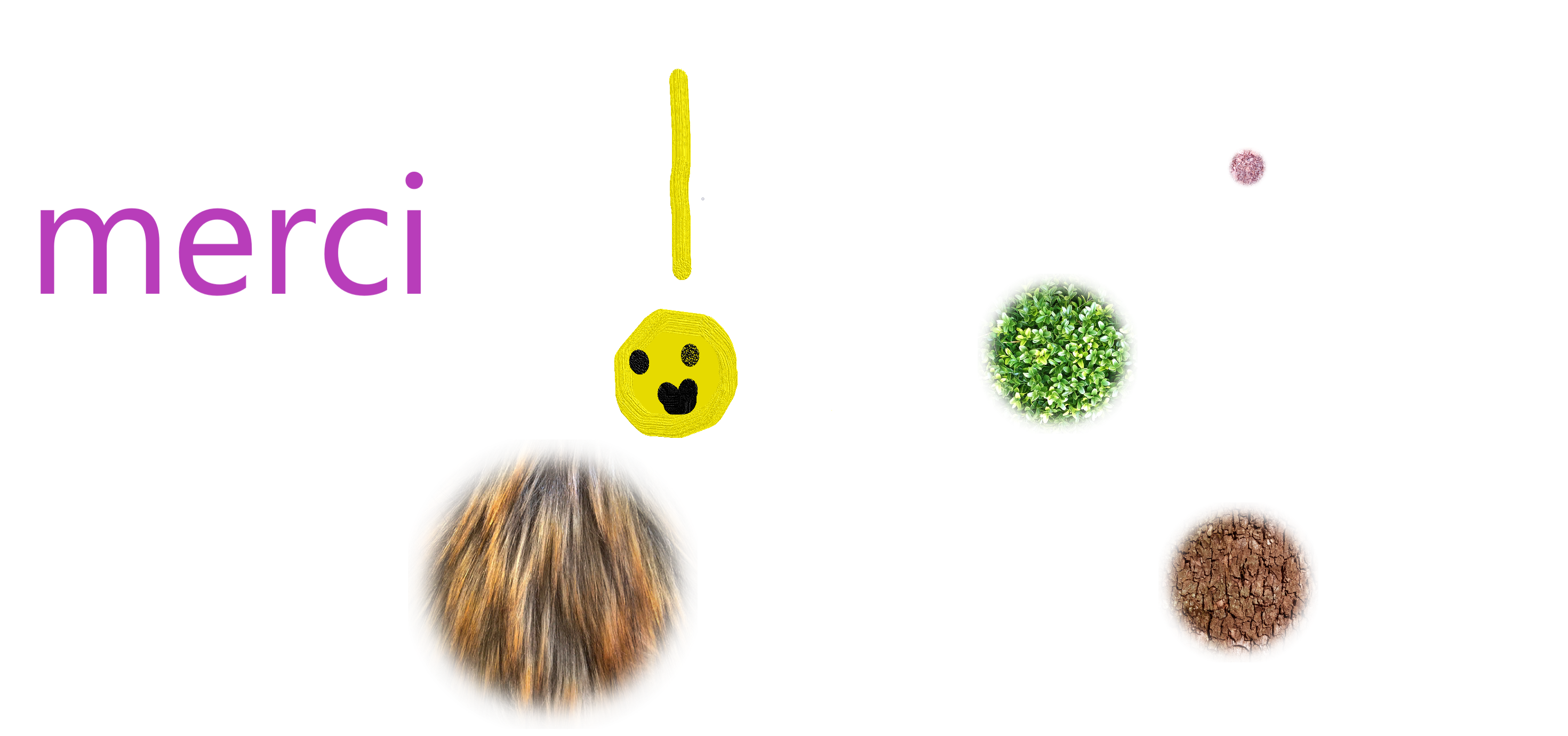 Merci